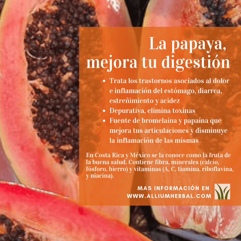 Resumen de las propiedades de la papaya