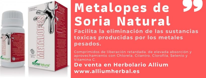 Metalopes Soria Natural con plantas que facilitan la eliminación de las sustancias toxicas producidas por los metales pesados.