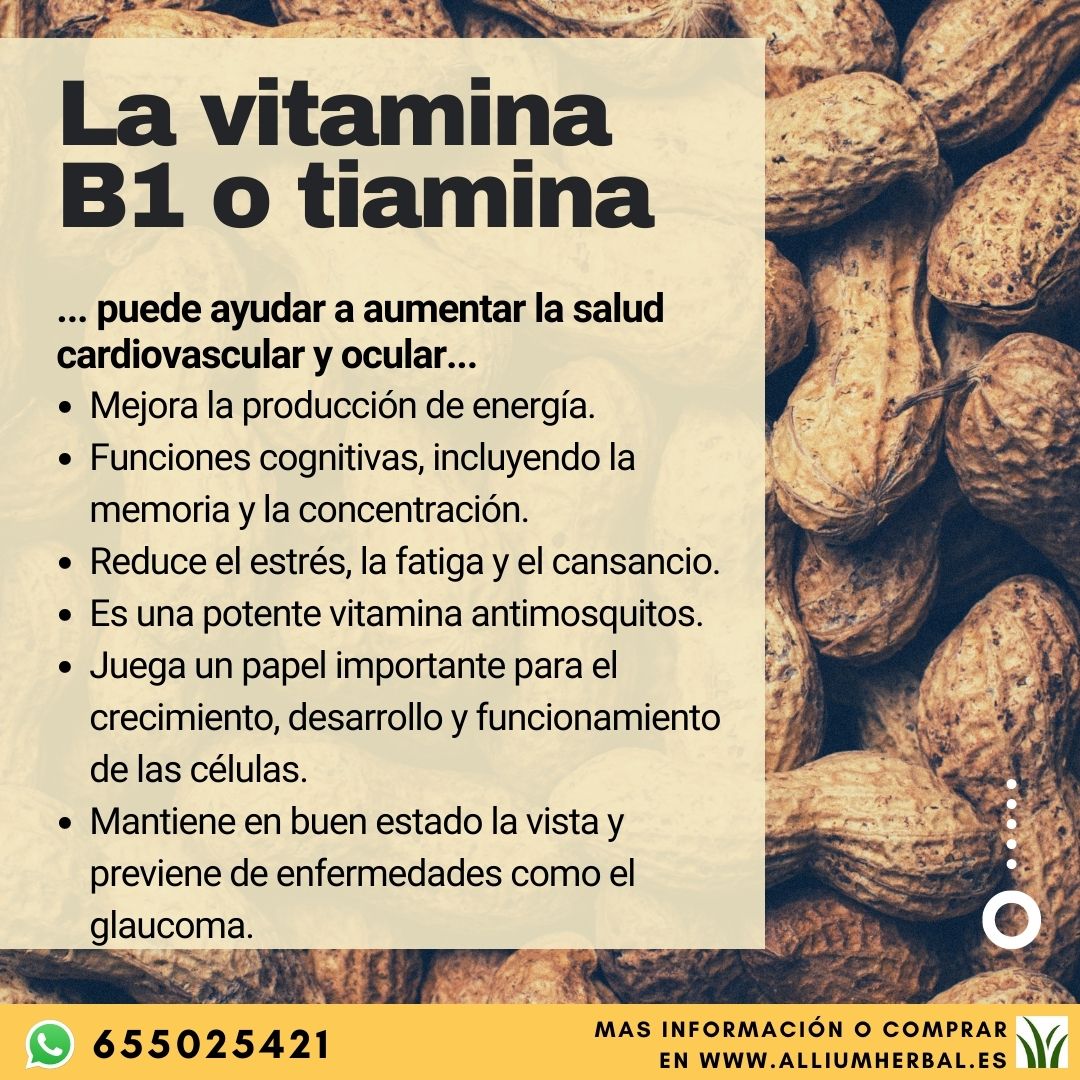 Propiedades de la vitamina B1 o tiamina