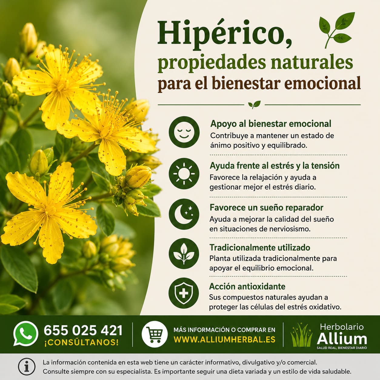 Propiedades del hipérico Propiedades del hipérico