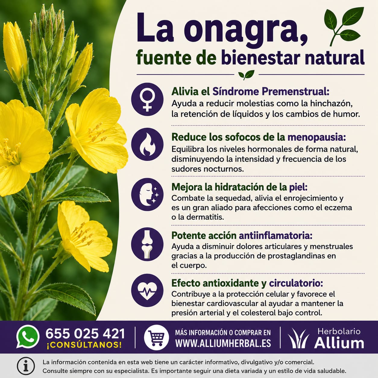 Propiedades de la onagra