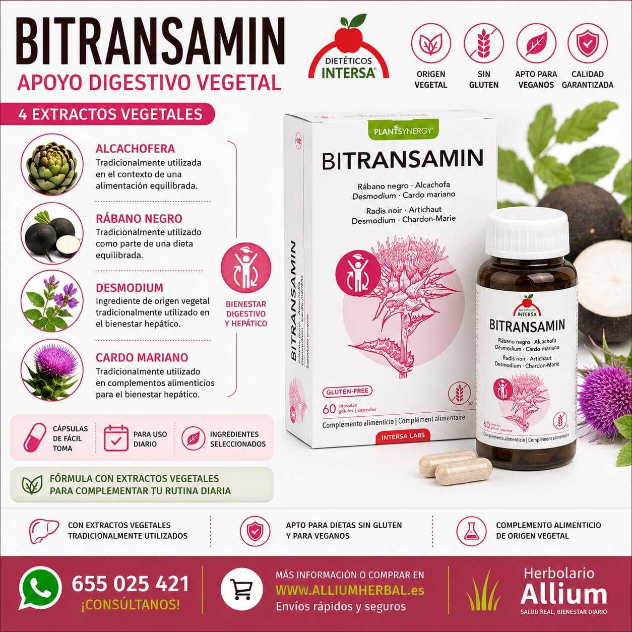 Bitransamin 60 cápsulas de Dietéticos Intersa Apoyo digestivo vegetal Bitransamin 60 cápsulas de Dietéticos Intersa Apoyo digestivo vegetal