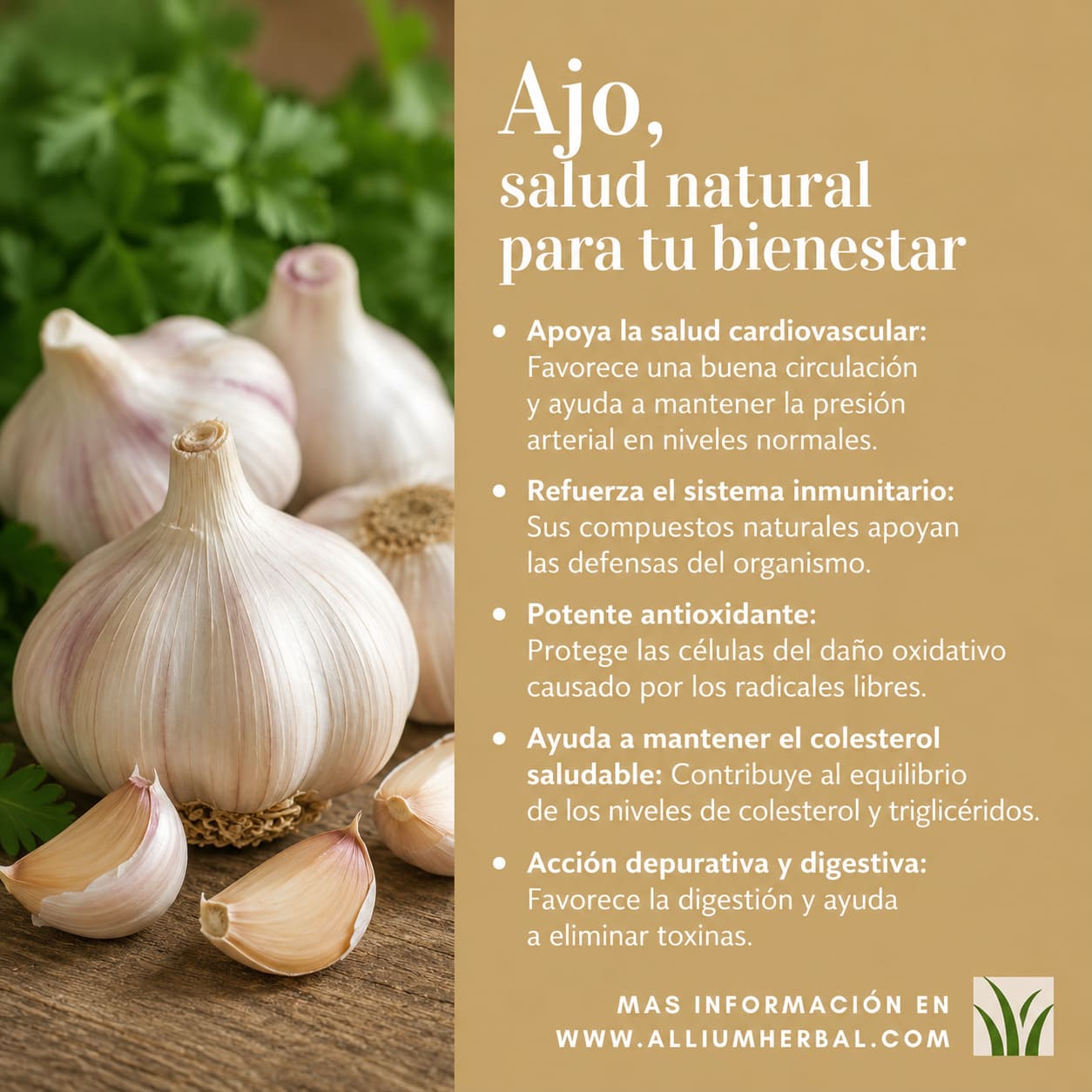 Propiedades del ajo Propiedades del ajo