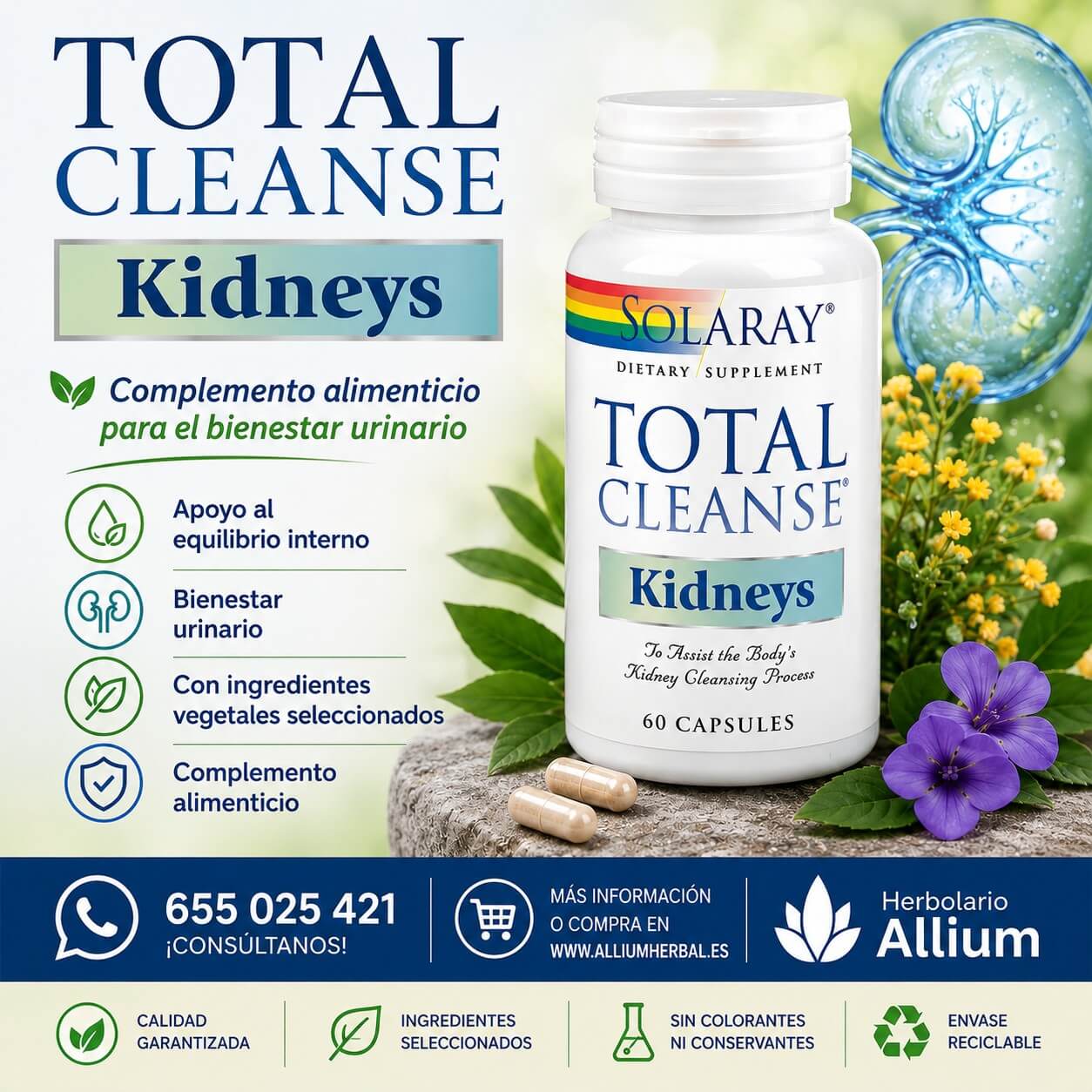 Total Cleanse Kidney 60 cápsulas de Solaray Bienestar urinario y equilibrio del organismo