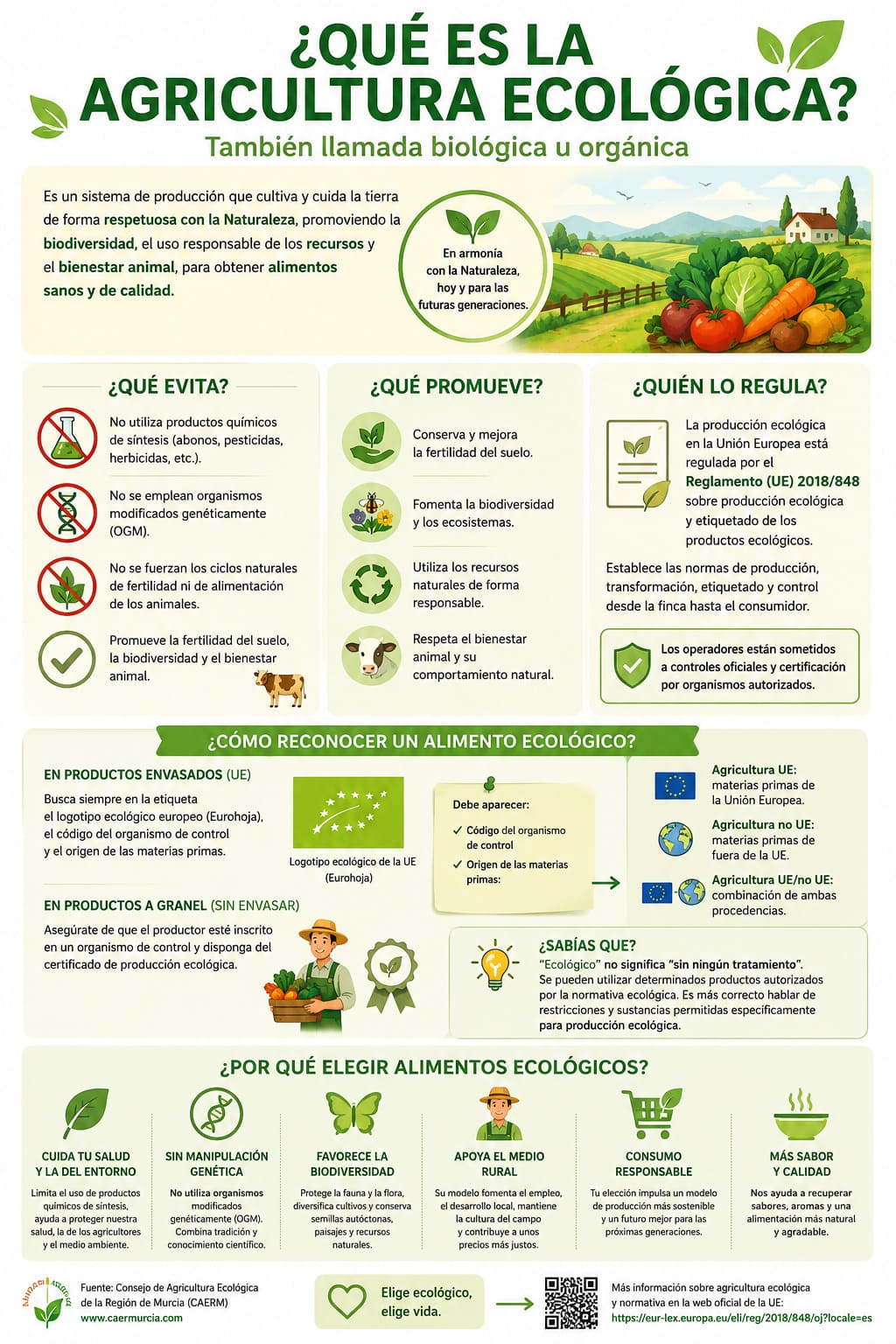 ¿Qué es la agricultura ecológica y cómo reconocer los alimentos ecológicos?