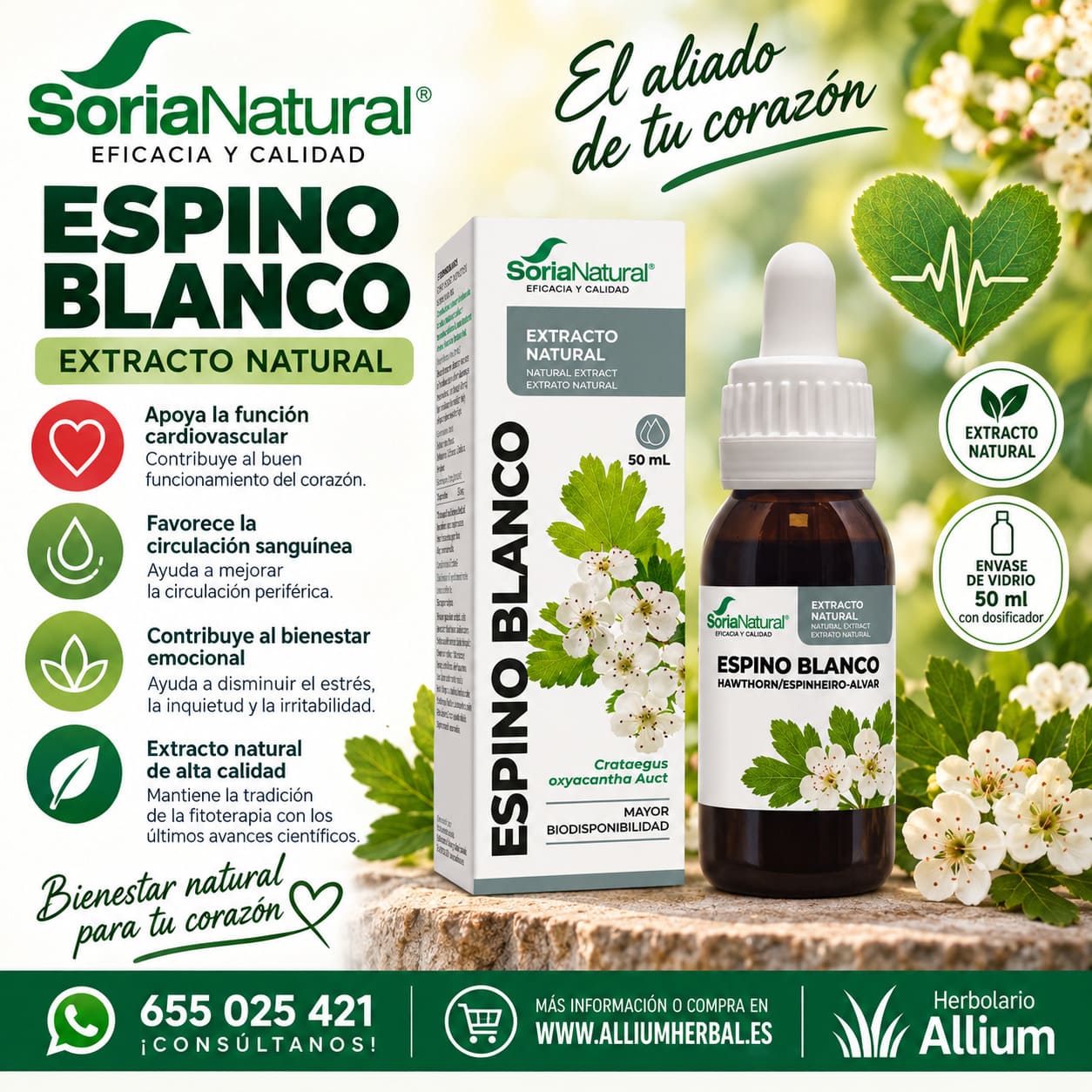 Extracto de Espino Blanco de Soria Natural 50 ml El aliado de tu corazón Extracto de Espino Blanco de Soria Natural 50 ml El aliado de tu corazón