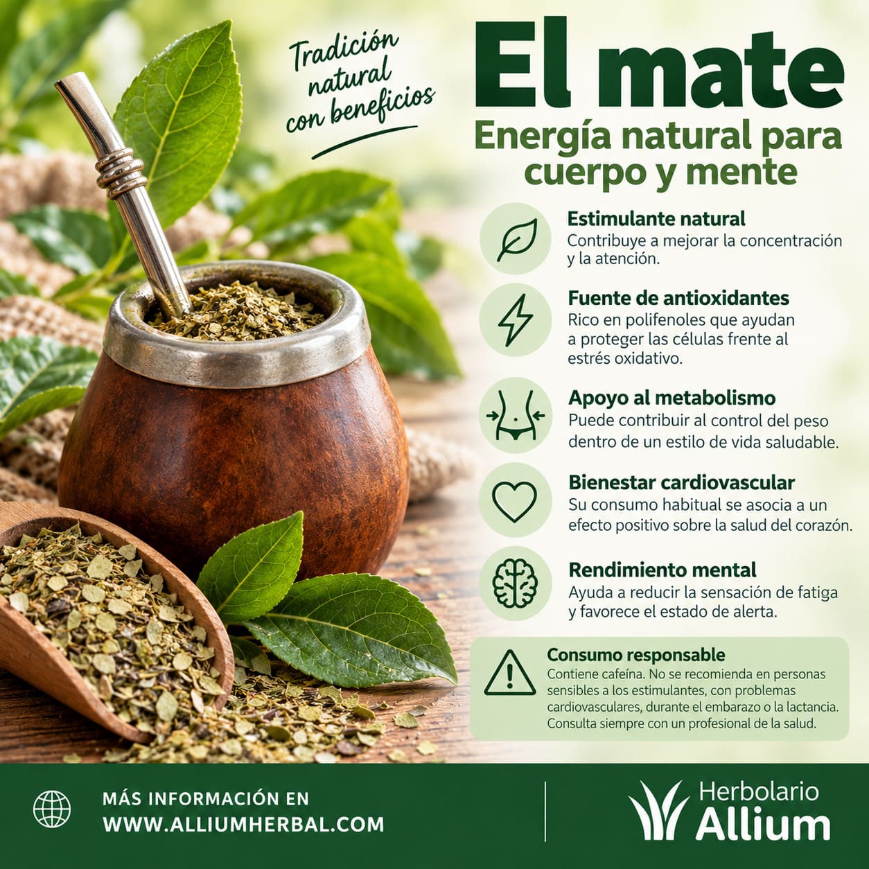 Propiedades de la hierba mate Propiedades de la hierba mate