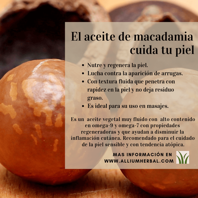 Resumen de las propiedades del aceite de macadamia