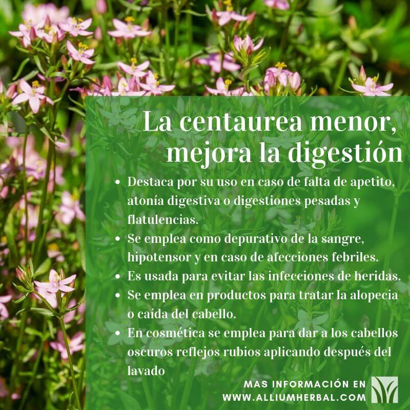 Propiedades de la Centaurea menor Propiedades de la Centaurea menor