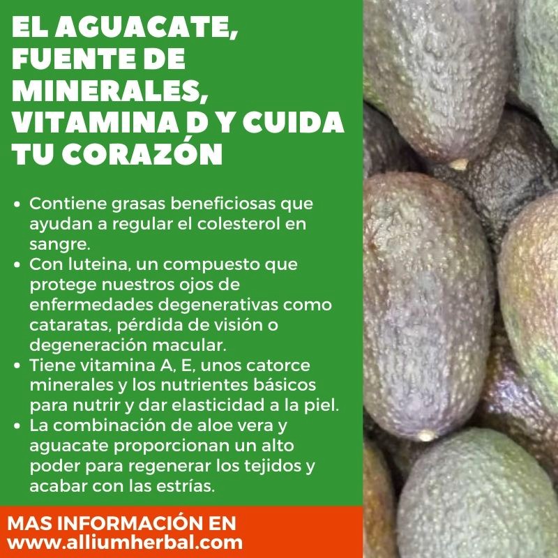 Propiedades del aguacate