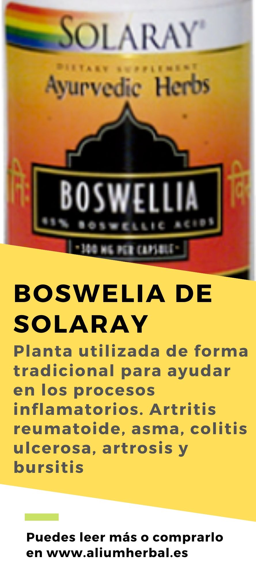 Boswelia 60 cápsulas 300 mg de Solaray