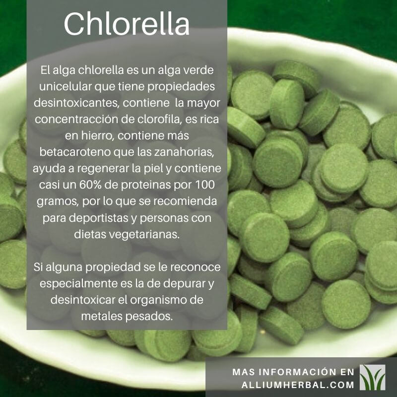Propiedades del alga chlorella