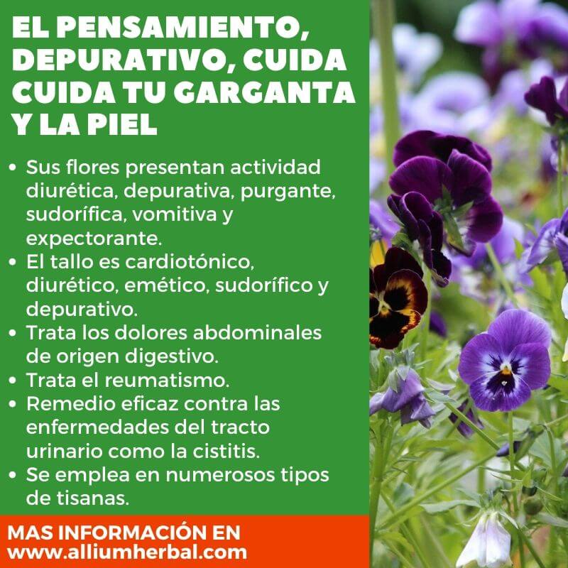 Propiedades del pensamiento