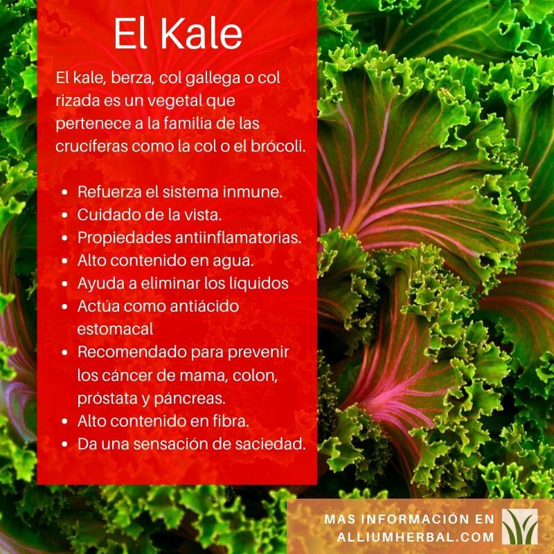 Propiedades del Kale