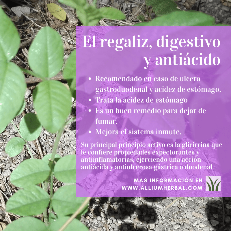 Propiedades del regaliz Propiedades del regaliz