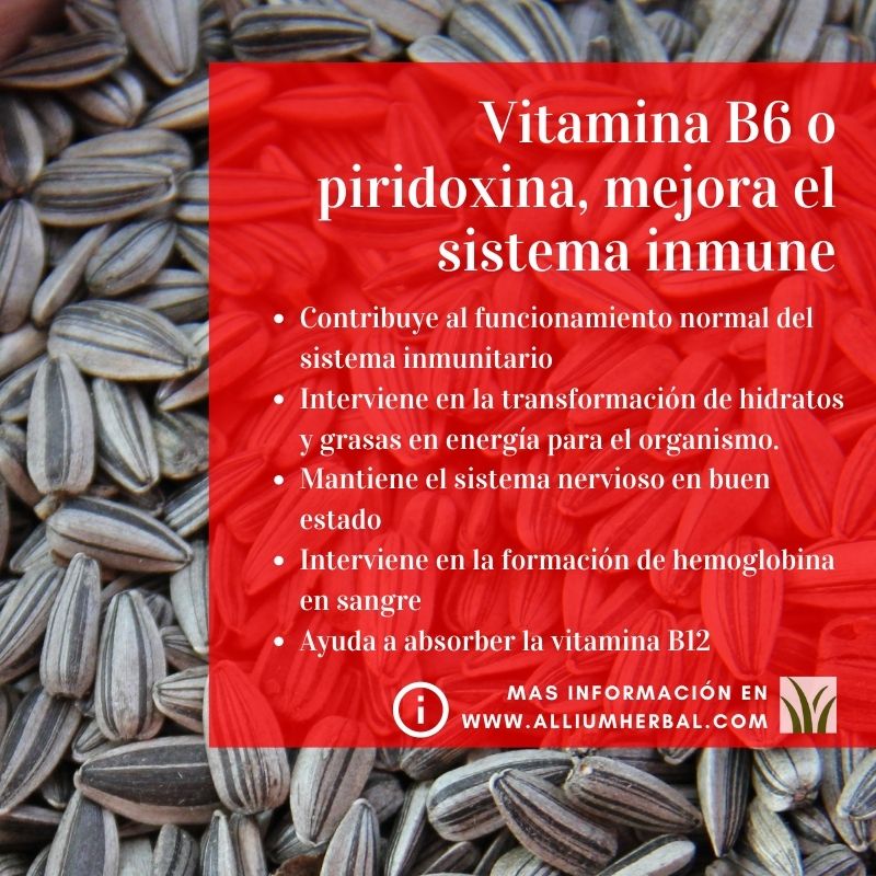 Propiedades de la vitamina B12 Propiedades de la vitamina B12
