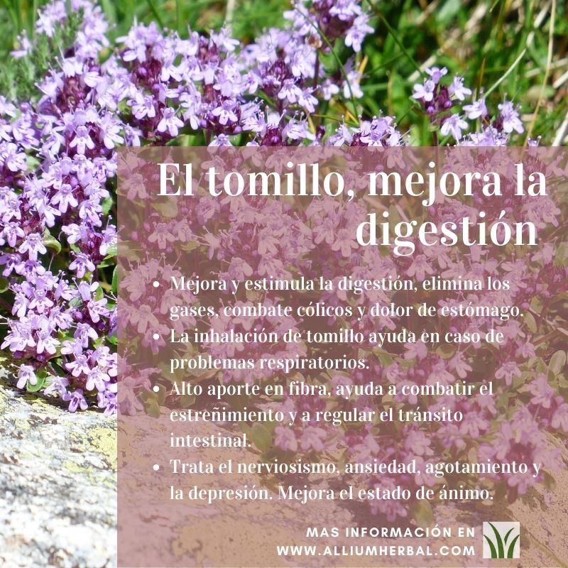 Propiedades del tomillo