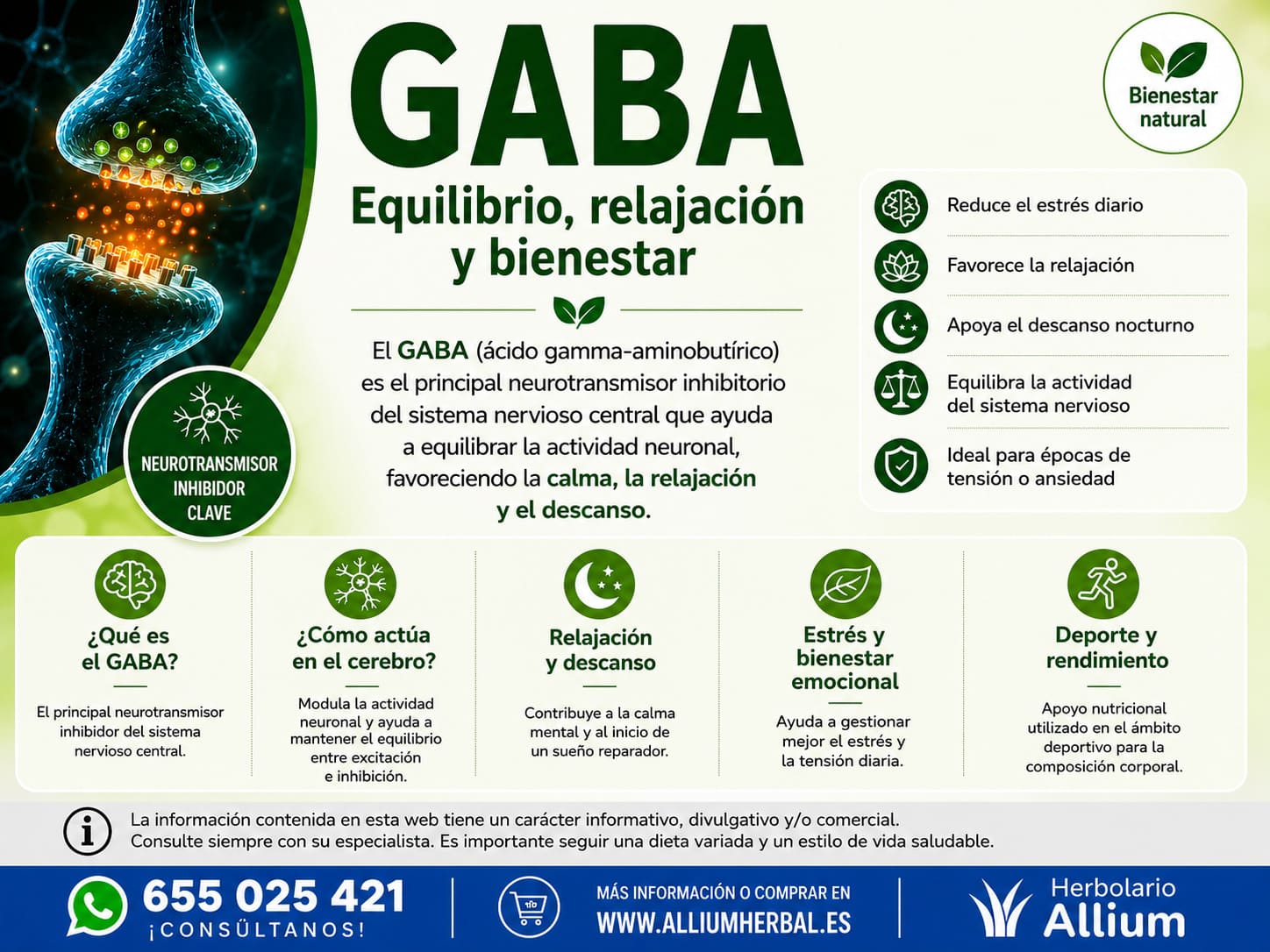 GABA: Equilibrio, relajación y bienestar GABA: Equilibrio, relajación y bienestar