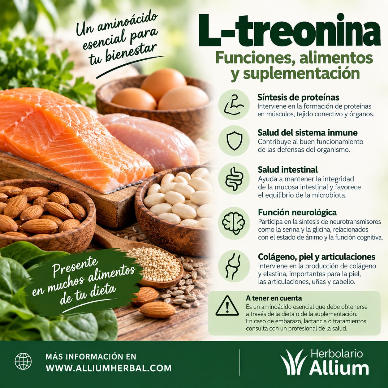 Propiedades de la L-Treonina - Aminoácido