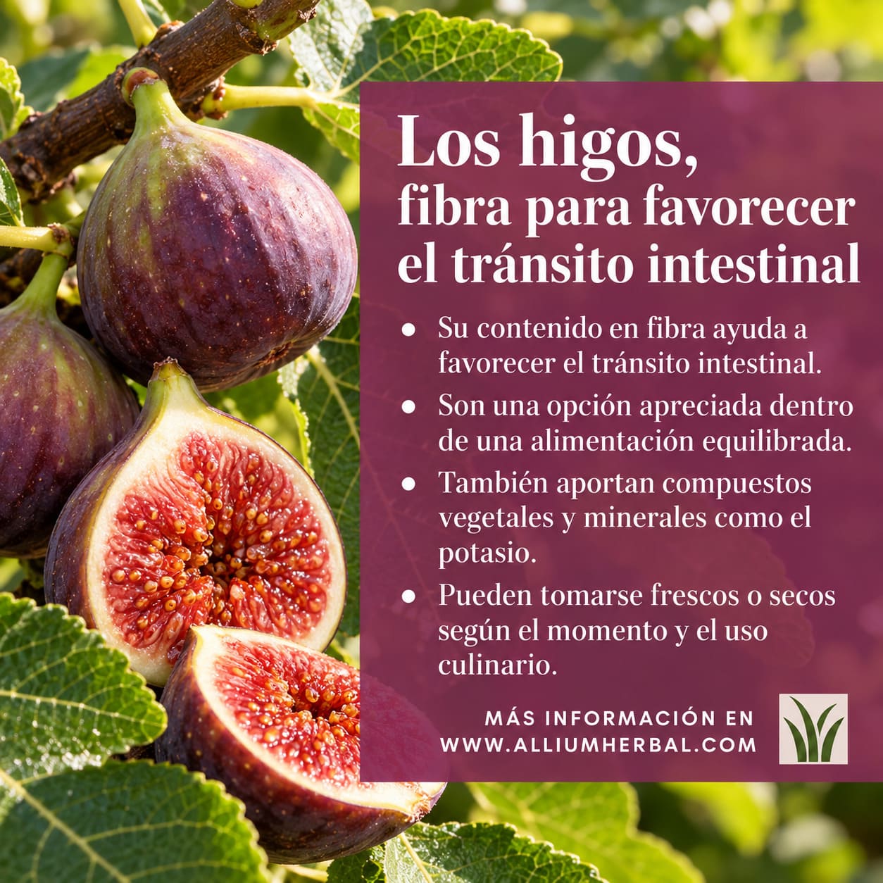 Propiedades de los higos Propiedades de los higos