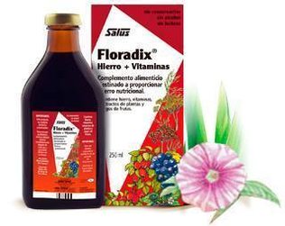 Floradix 500 Jarabe de Salus