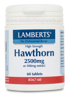 Espino Blanco 2500 mg 60 tabs de Lamberts