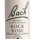 Flor de Bach Acebo 20 ml. de Bach Remedies