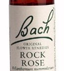 Flor de bach Alamo temblón