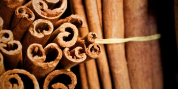 Canela