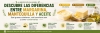 Margarina, mantequilla y aceite de oliva: diferencias, ventajas y usos