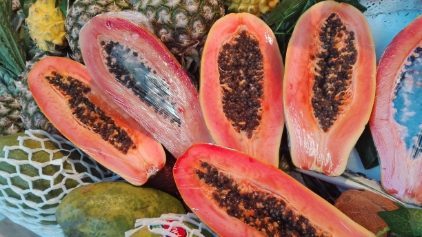 Papaya