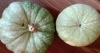 Calabazas