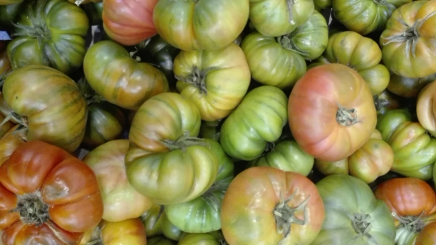 Tomates