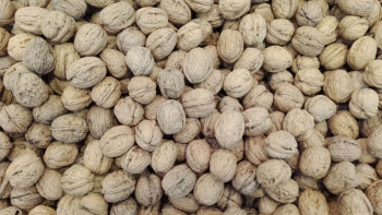 Nueces, fuente de coenzima Q10