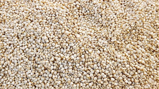 Quinoa