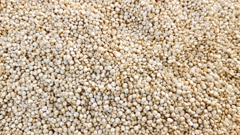 Quinoa