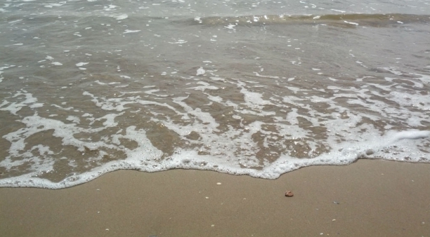 Sales del Mar Muerto: propiedades, usos y c&oacute;mo utilizarlas