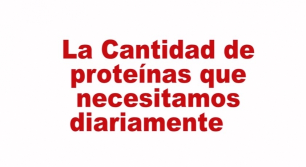La cantidad de prote&iacute;nas diarias