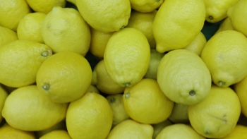Semillas de Lim&oacute;n