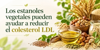 Los estanoles disminuyen el colesterol y los triglic&eacute;ridos