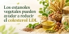 Los estanoles disminuyen el colesterol y los triglic&eacute;ridos