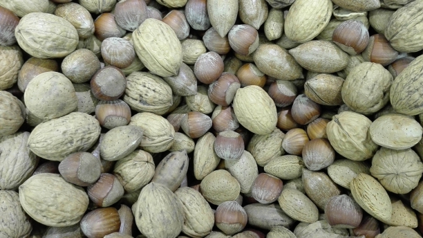 Frutos secos