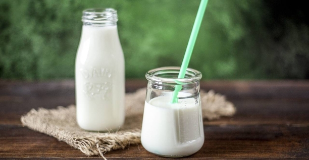 Yogurt, fuente de probi&oacute;ticos