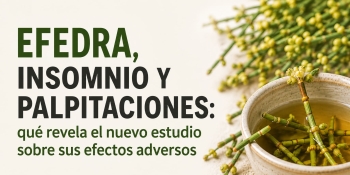 Efedra, insomnio y palpitaciones: qu&eacute; revela el nuevo estudio sobre sus efectos adversos