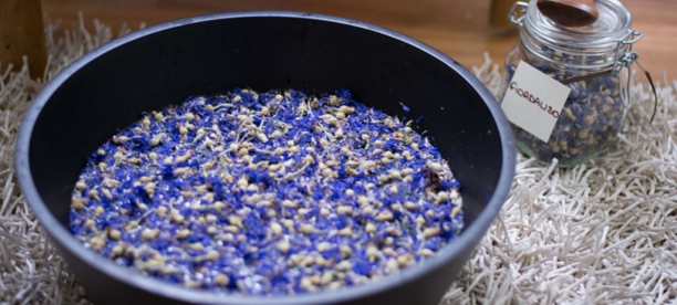 &iquest;Qu&eacute; es la naturopat&iacute;a? Principios, pr&aacute;cticas y qu&eacute; dice la evidencia cient&iacute;fica