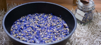 &iquest;Qu&eacute; es la naturopat&iacute;a? Principios, pr&aacute;cticas y qu&eacute; dice la evidencia cient&iacute;fica