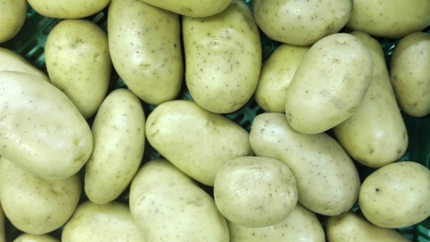 Patatas
