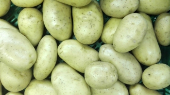 Patatas