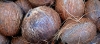 Cocos