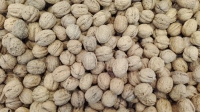 Nueces, fuente vegetal de metionina
